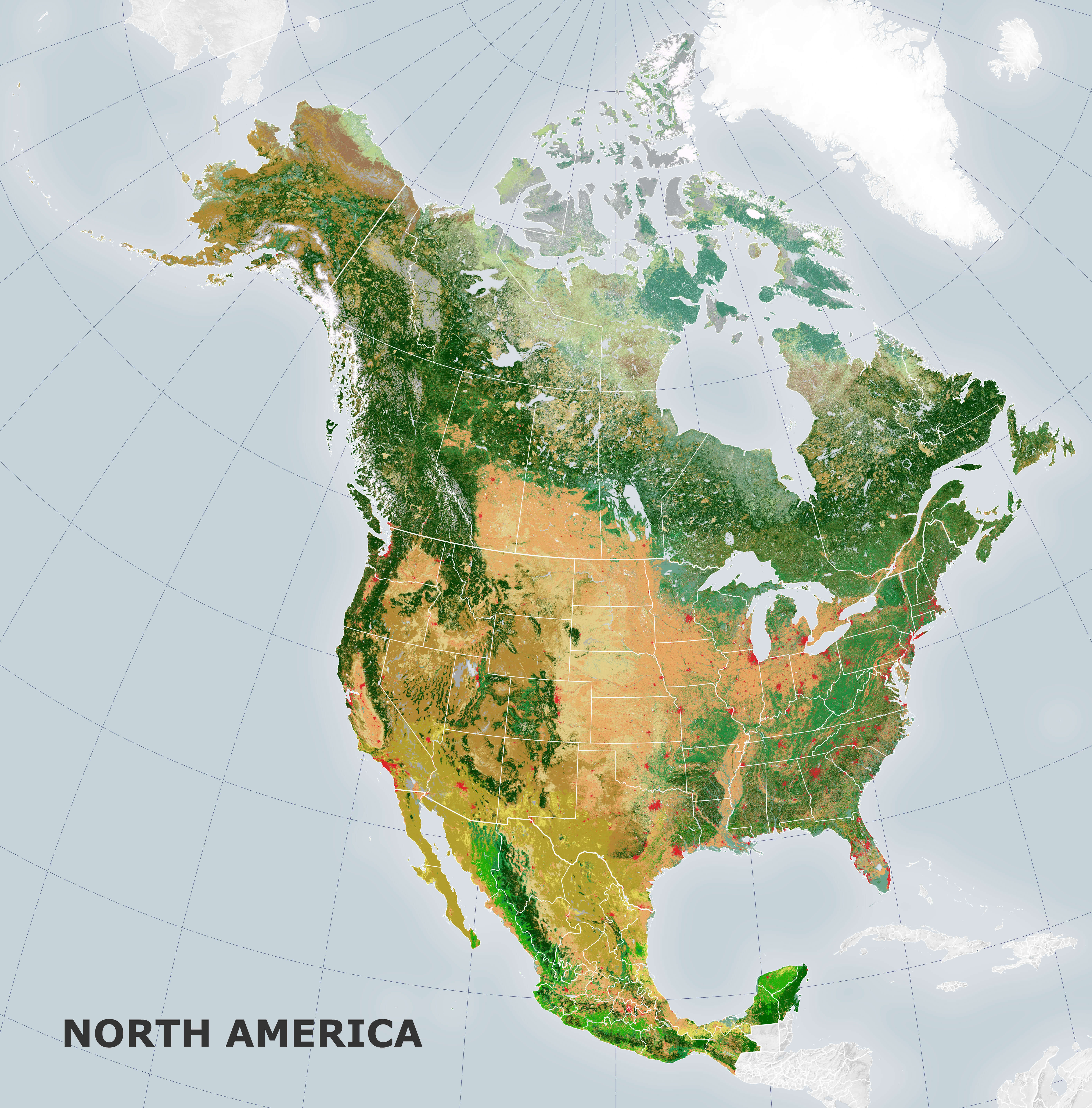 North America High-Resolution Satellite Map